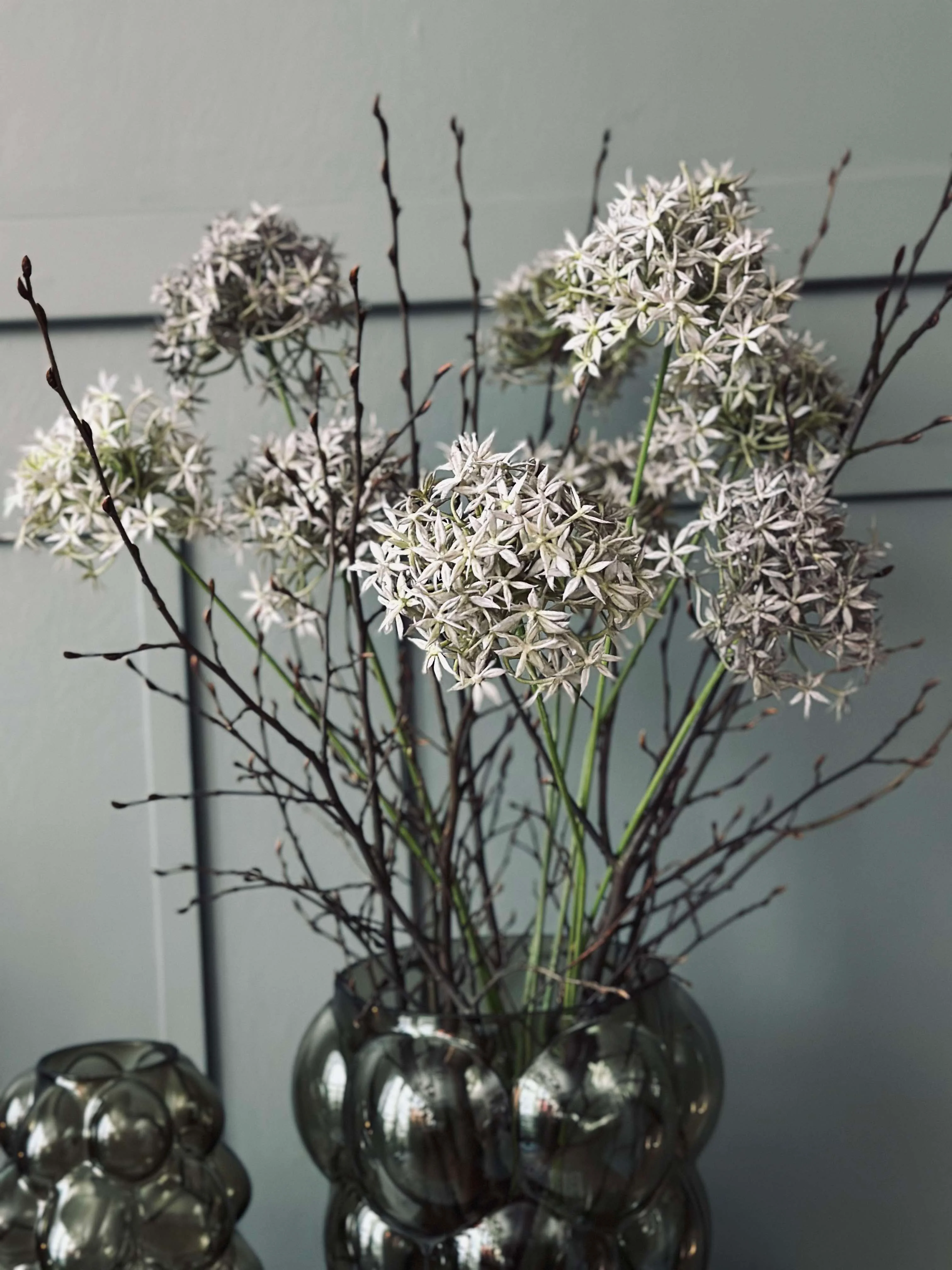 Blomst Allium