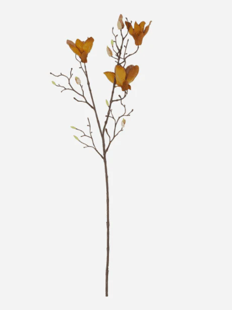 Blomst, Mangnolia, Brun - Image 3