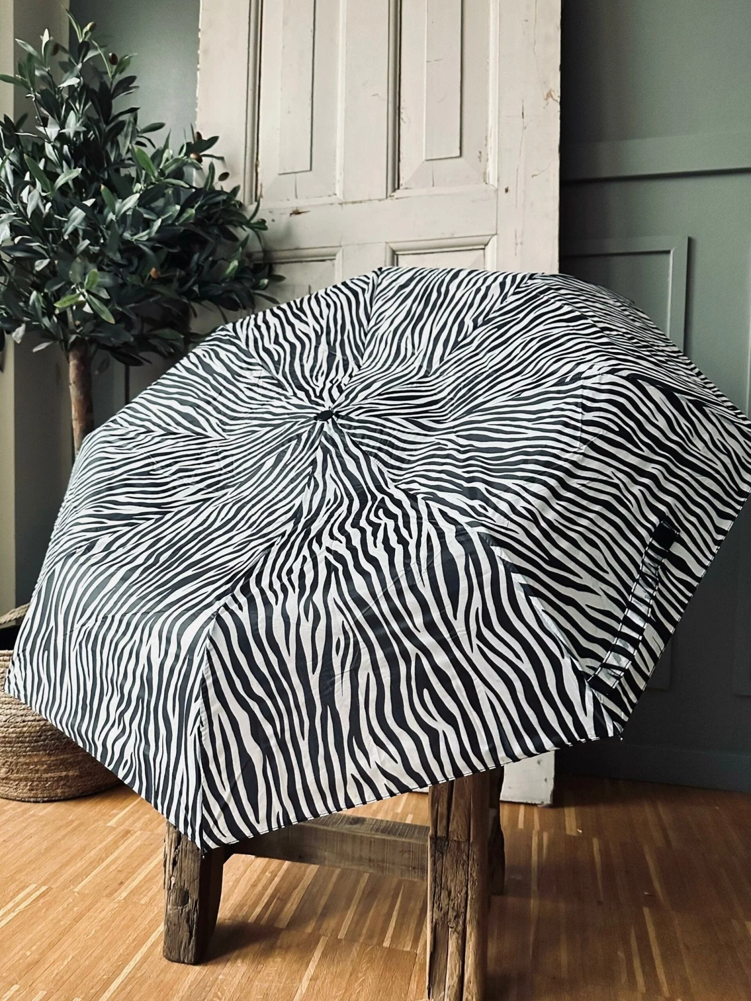 Paraply – Zebra
