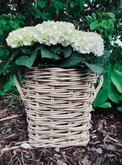 Plantekurv - Grå Rattan - Lille - Image 4