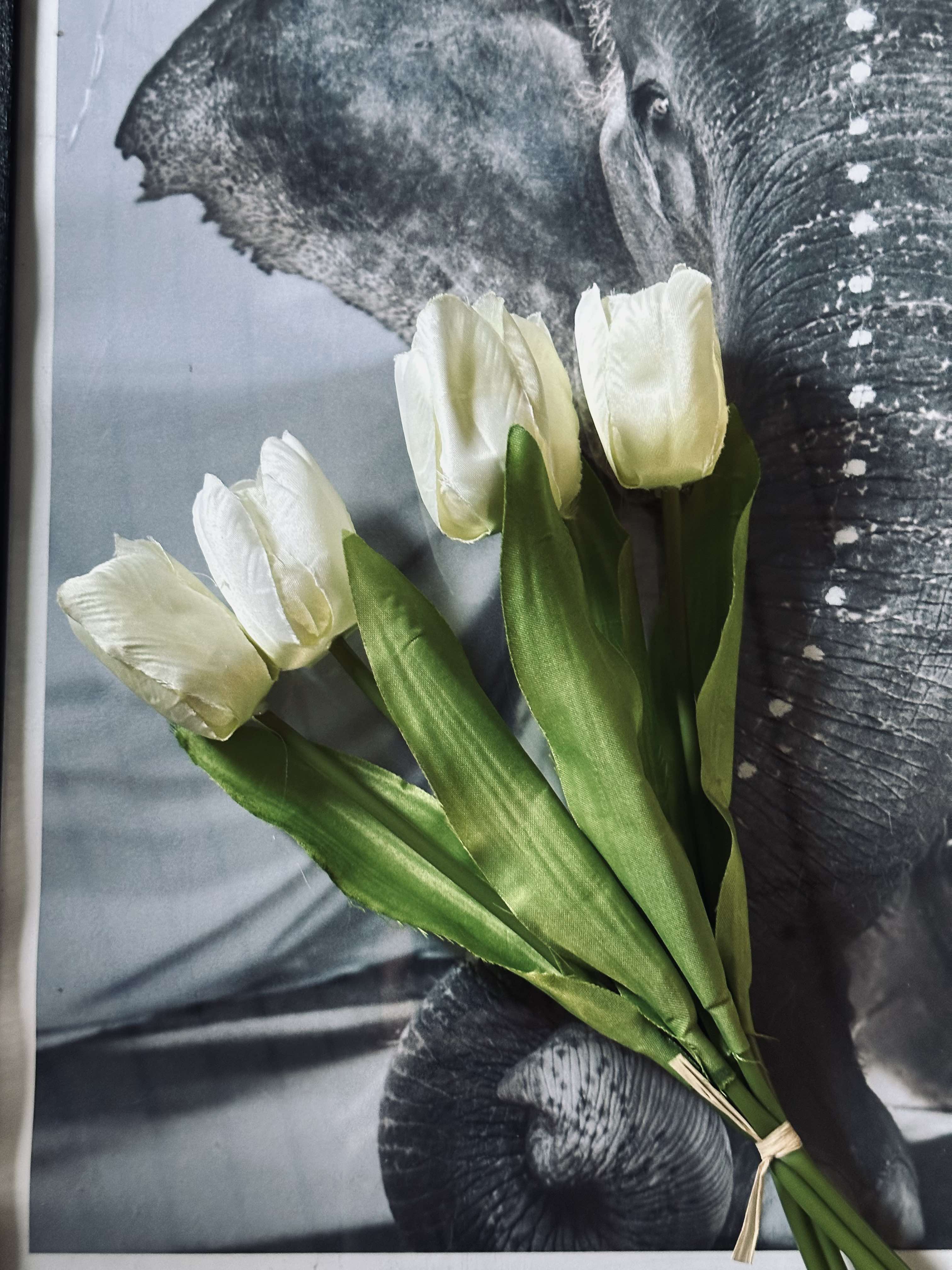 Tulipaner Hvid - Image 7